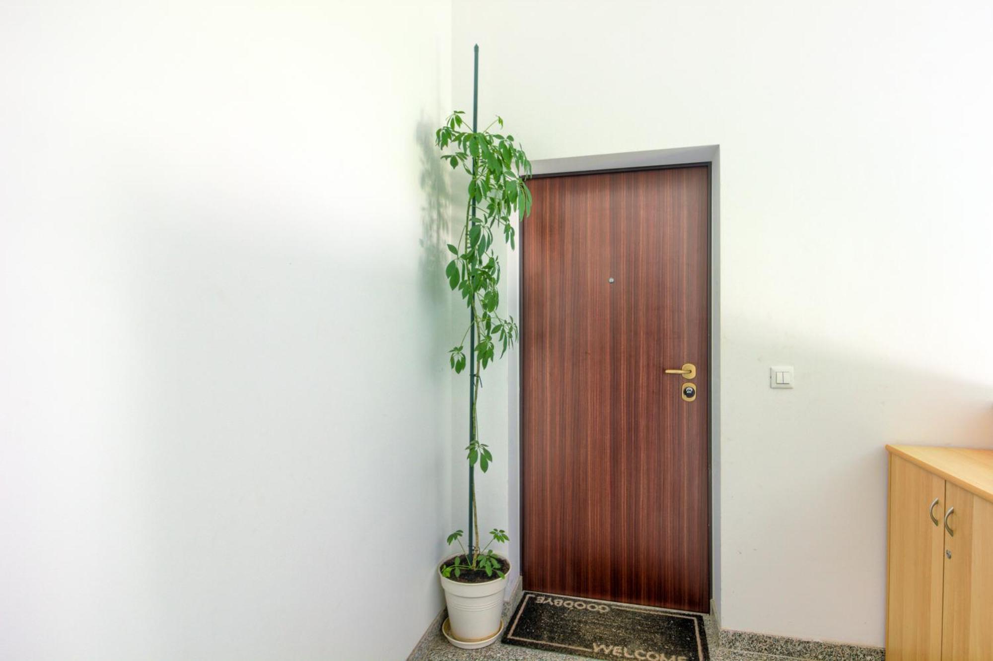 Apartments Zara Екстер'єр фото